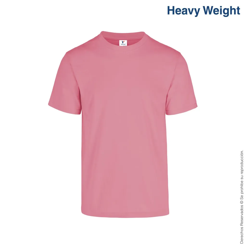 C0300-salmon-1.webp