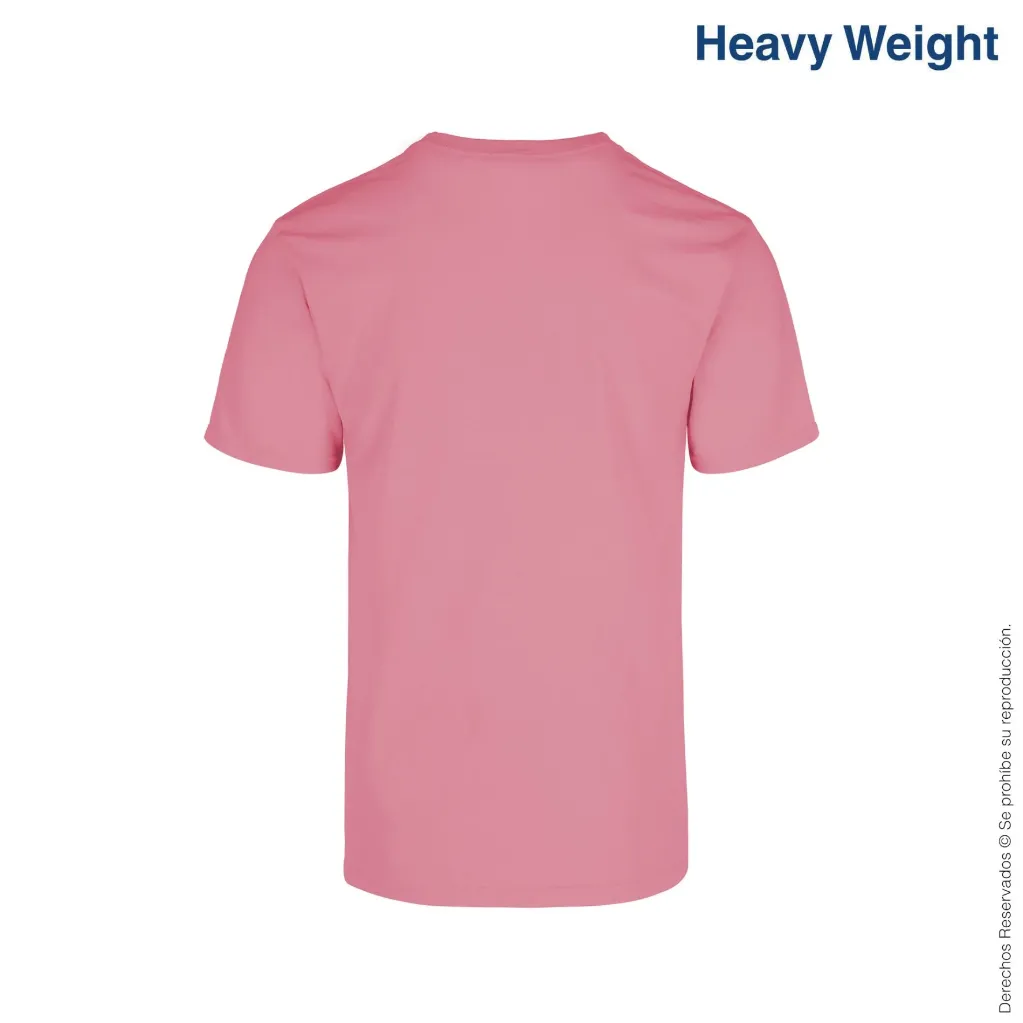 C0300-salmon-2.webp