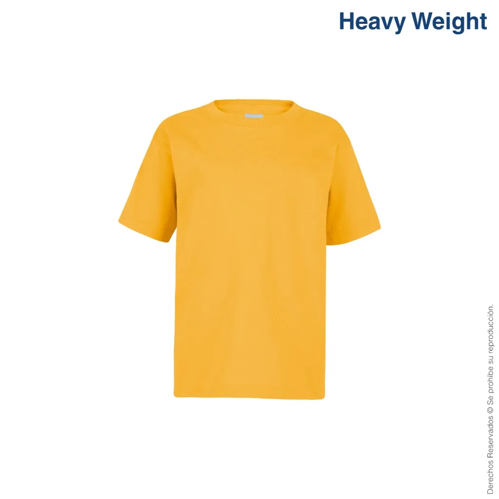 N0300-mango-1.webp