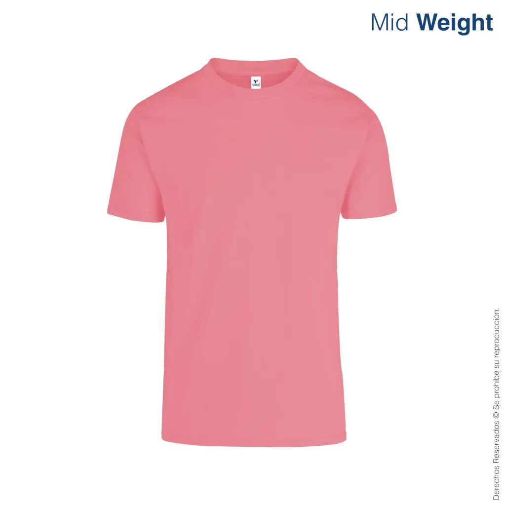 C0200-salmon-1.webp