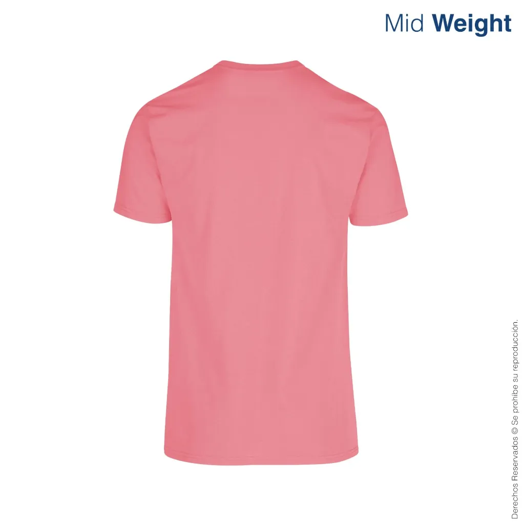 C0200-salmon-2.webp